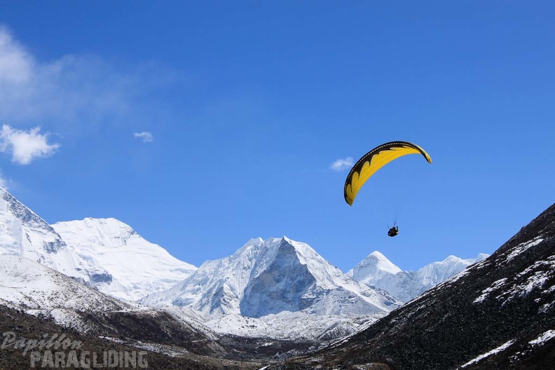 Papillon_Himalaya_Everest_AF-757.jpg