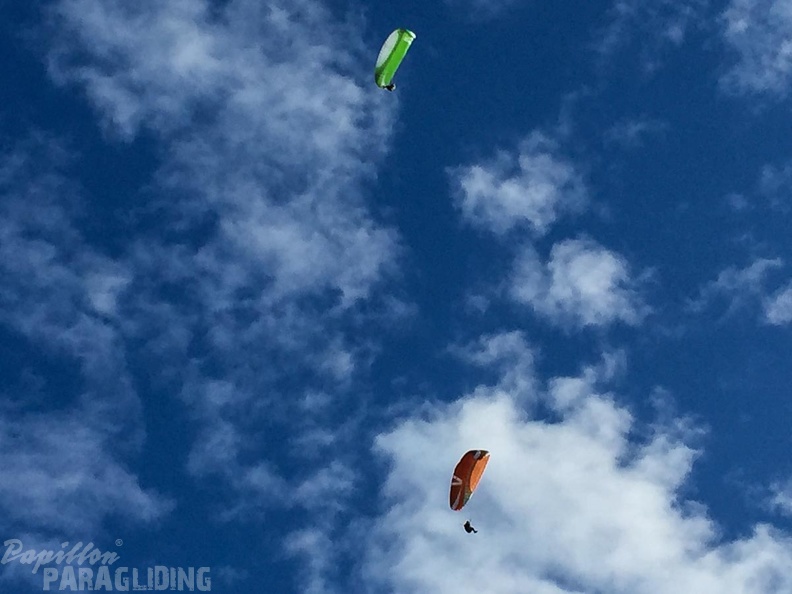 Luesen DT34.15 Paragliding-1530