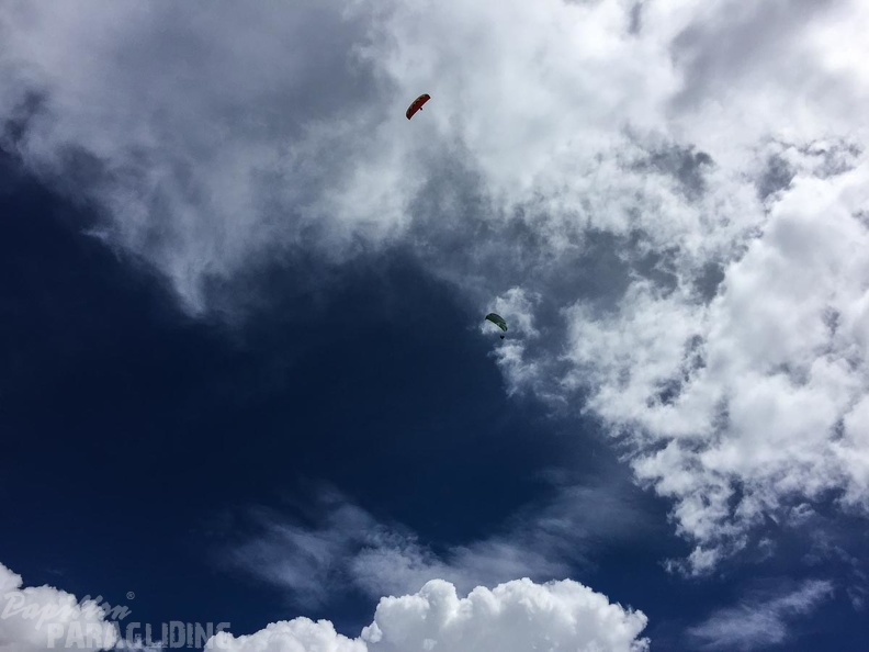 DT24.16-Paragliding-Luesen-1085