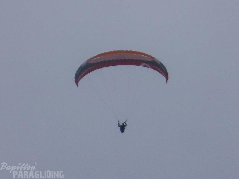 DH1.18_Luesen-Paragliding-594.jpg