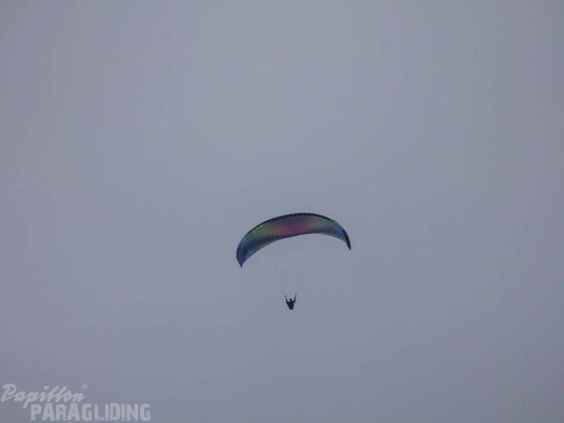 DH1.18_Luesen-Paragliding-595.jpg