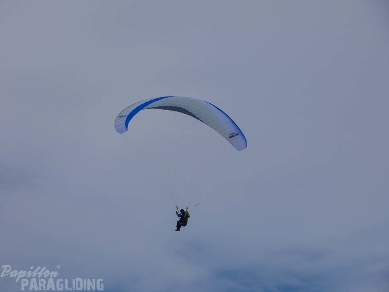 DH1.18_Luesen-Paragliding-597.jpg