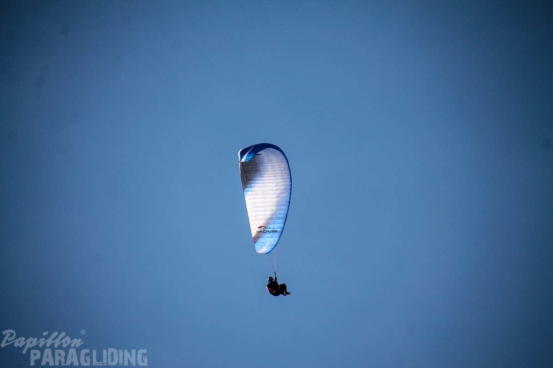 DH12.18_Luesen-Paragliding-317.jpg