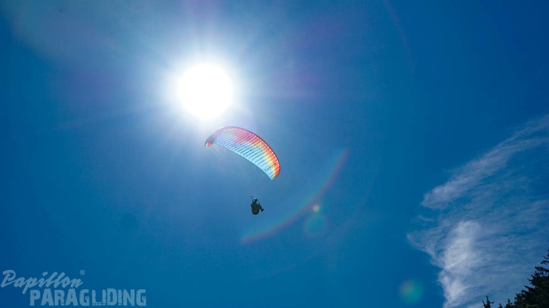 Luesen D34.20 Paragliding-313