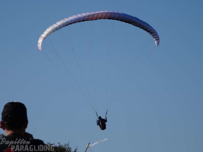 FA12 14 Algodonales Paragliding 060