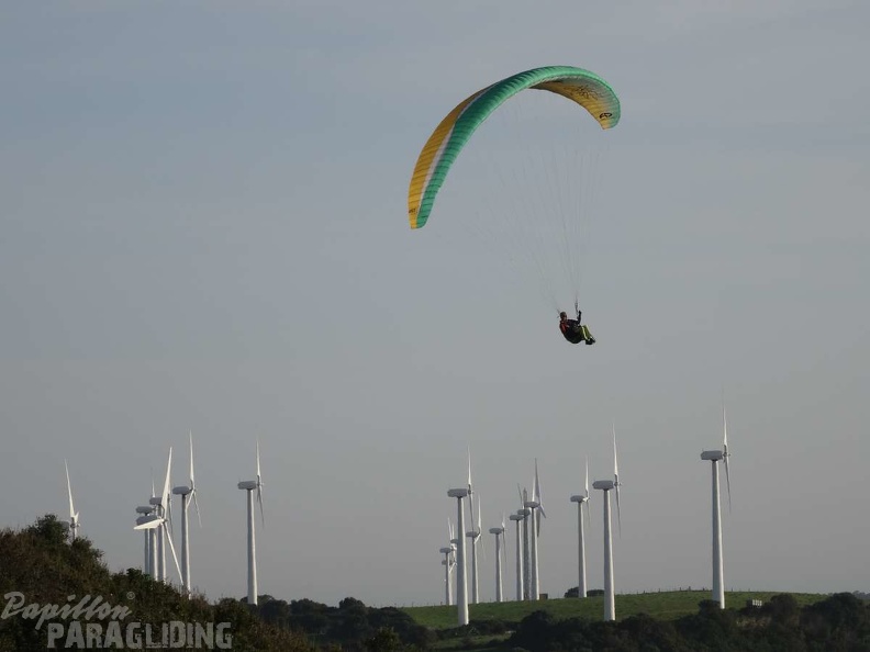 FA12 14 Algodonales Paragliding 116