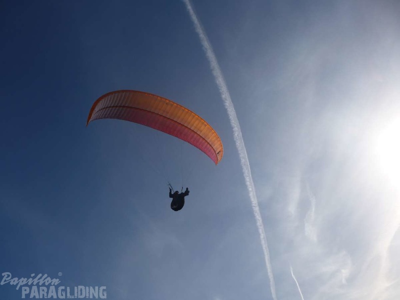 FA12 14 Algodonales Paragliding 339