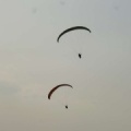FA12 14 Algodonales Paragliding 445
