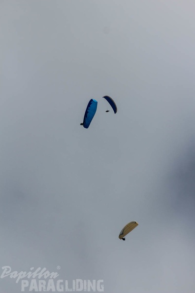 FA16.15 Algodonales Paragliding-211