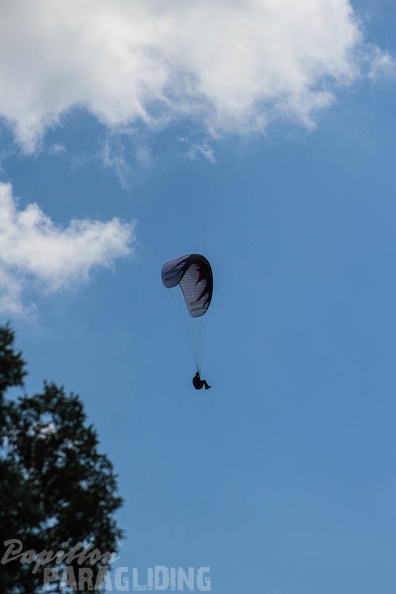 FA16.15 Algodonales Paragliding-216