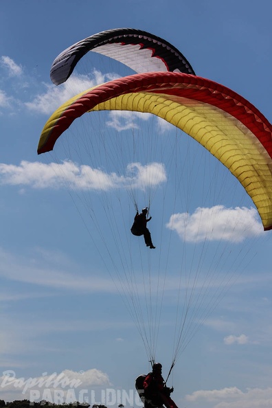 FA16.15_Algodonales_Paragliding-225.jpg