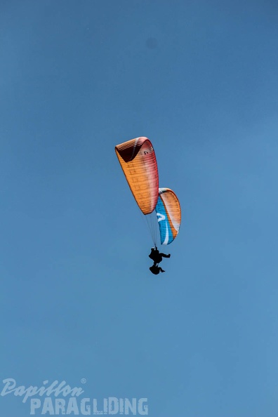 FA16.15 Algodonales Paragliding-226