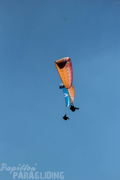 FA16.15 Algodonales Paragliding-227