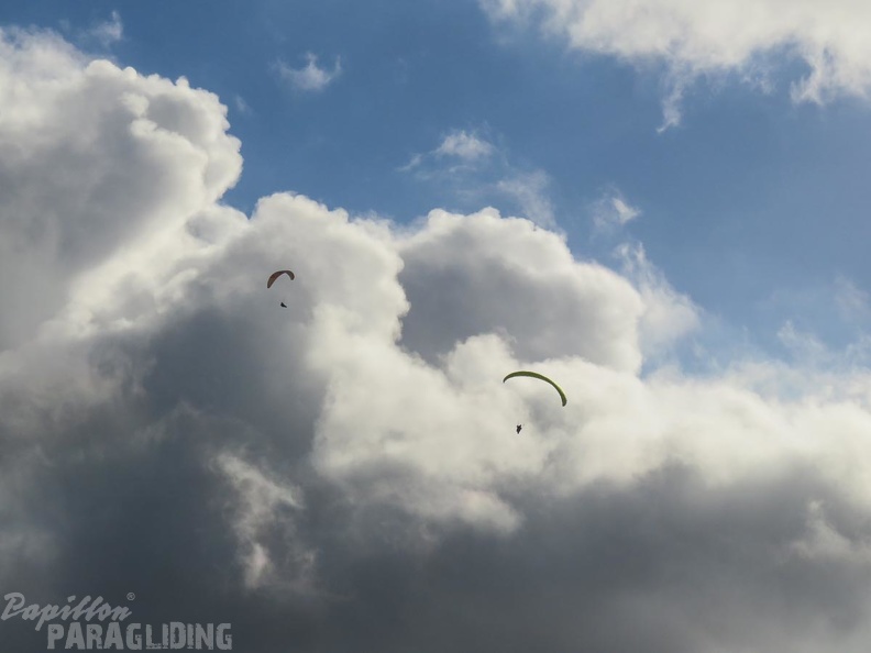 FA53.15-Algodonales-Paragliding-401.jpg