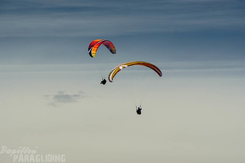FA13.16 Algodonales-Paragliding-1167