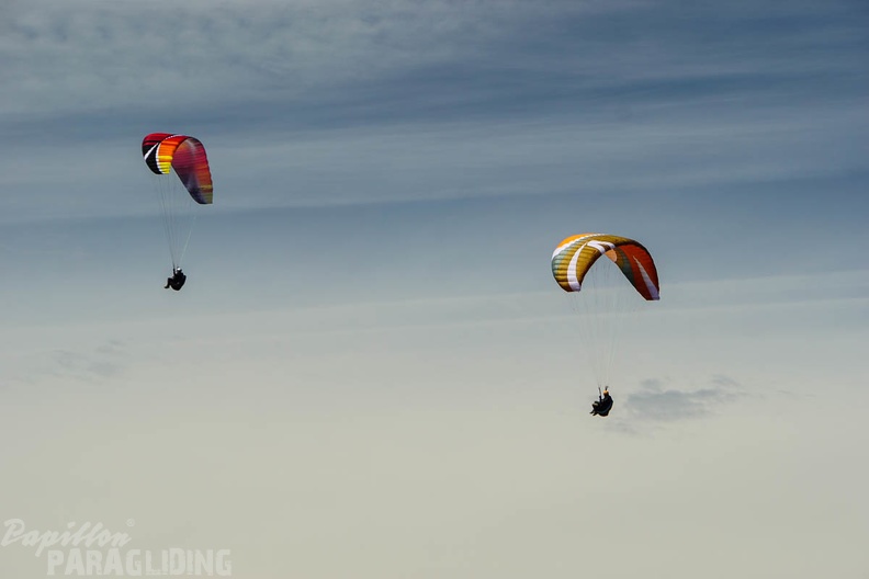 FA13.16 Algodonales-Paragliding-1168