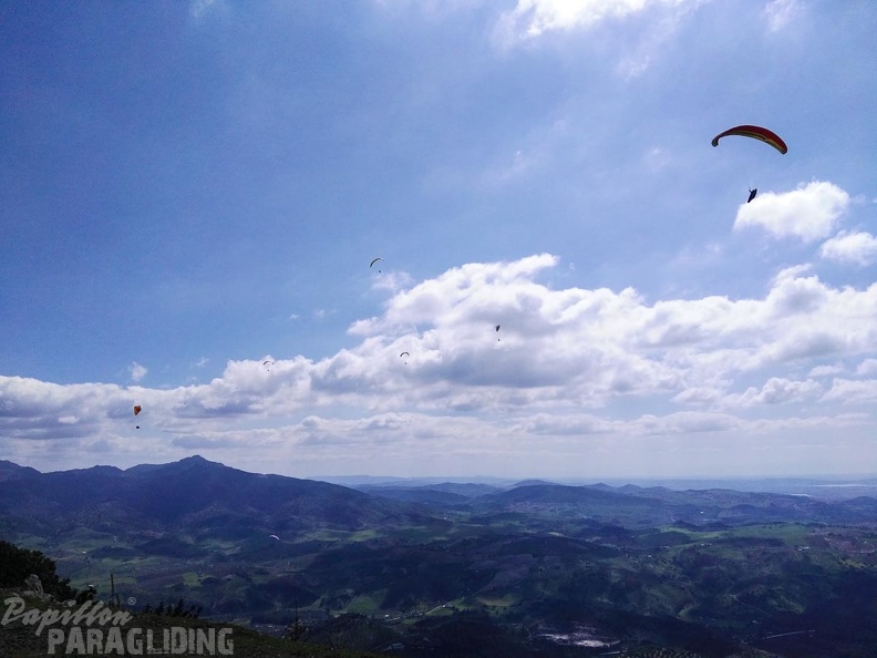 FA15.16-Algodonales Paragliding-358