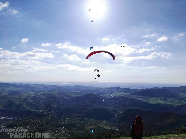 FA15.16-Algodonales Paragliding-387