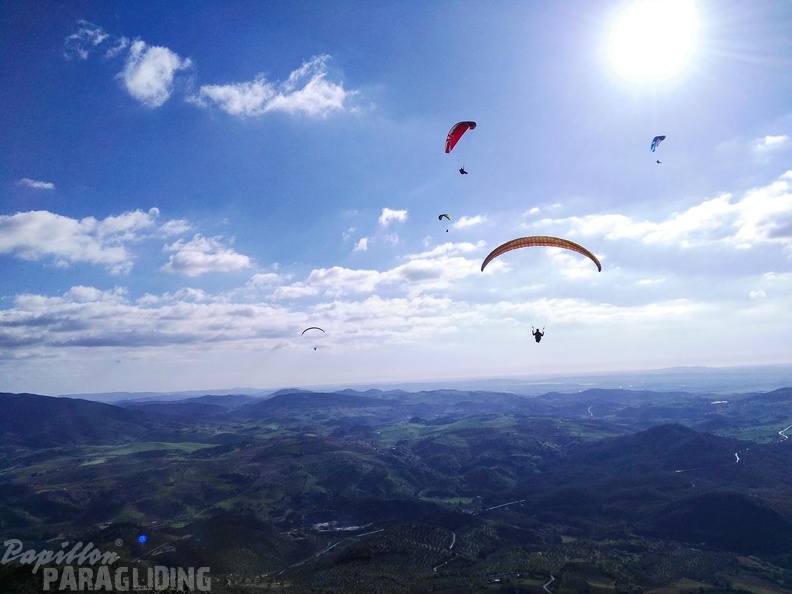 FA15.16-Algodonales Paragliding-396