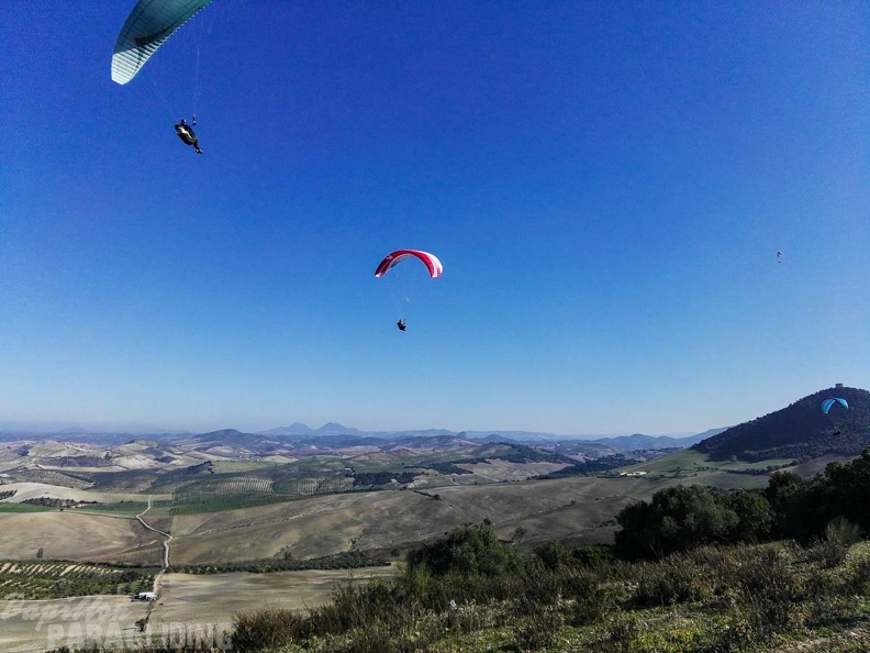 FA101.17 Algodonales-Paragliding-108