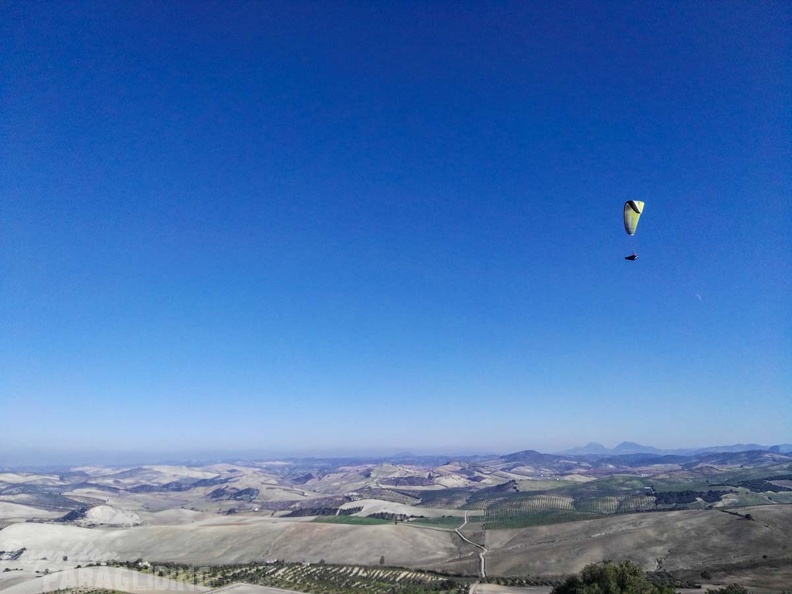 FA101.17 Algodonales-Paragliding-113