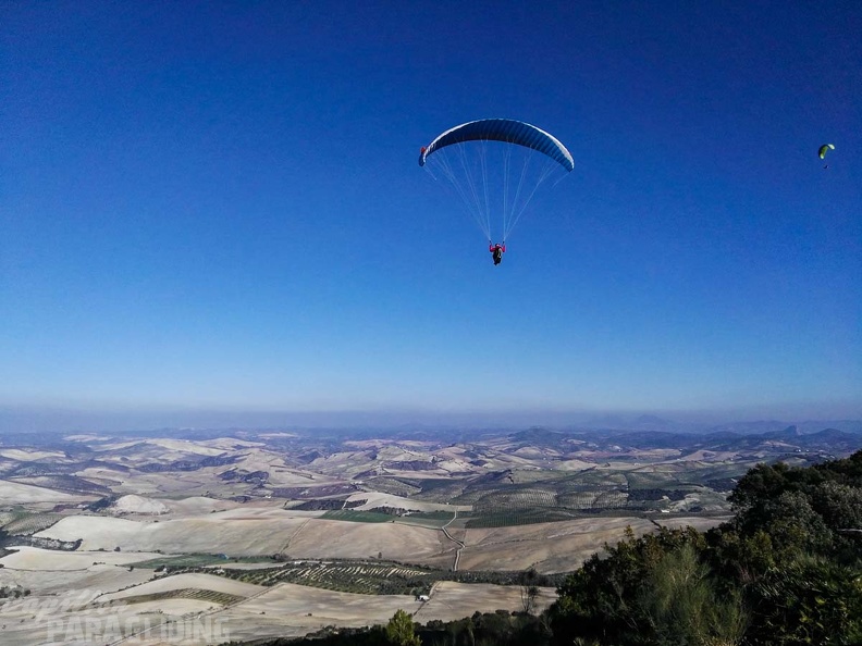 FA101.17 Algodonales-Paragliding-125