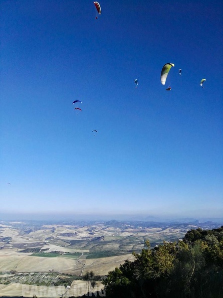 FA101.17 Algodonales-Paragliding-134