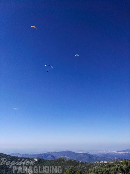 FA101.17 Algodonales-Paragliding-292