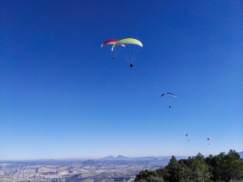 FA101.17 Algodonales-Paragliding-433