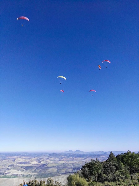 FA101.17 Algodonales-Paragliding-440