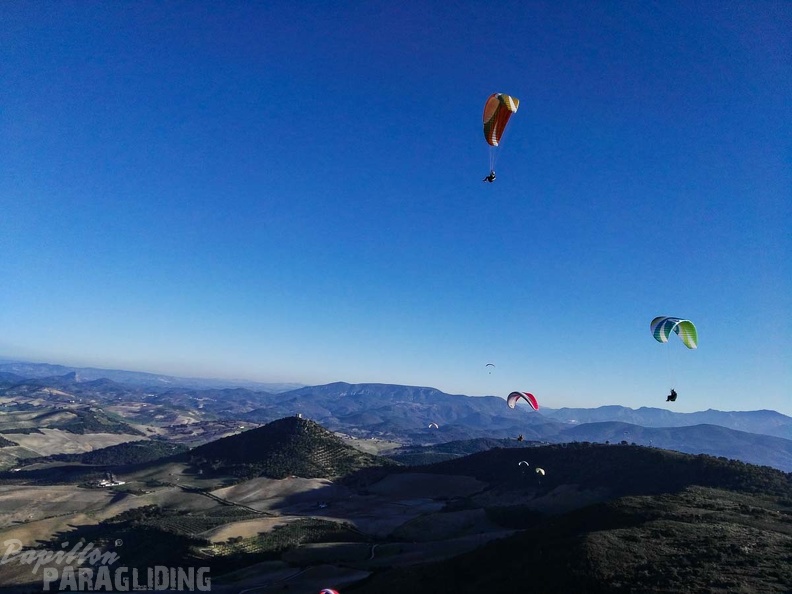 FA101.17 Algodonales-Paragliding-489