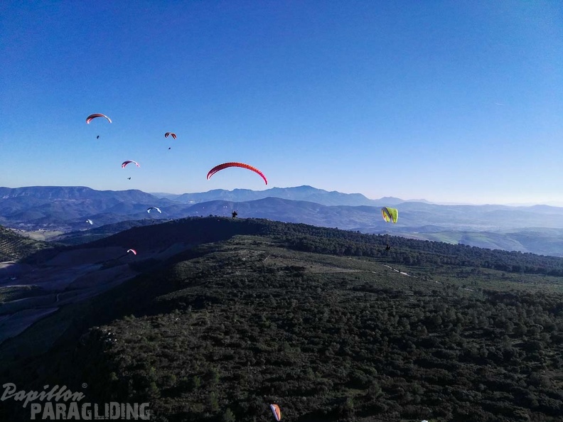 FA101.17 Algodonales-Paragliding-510