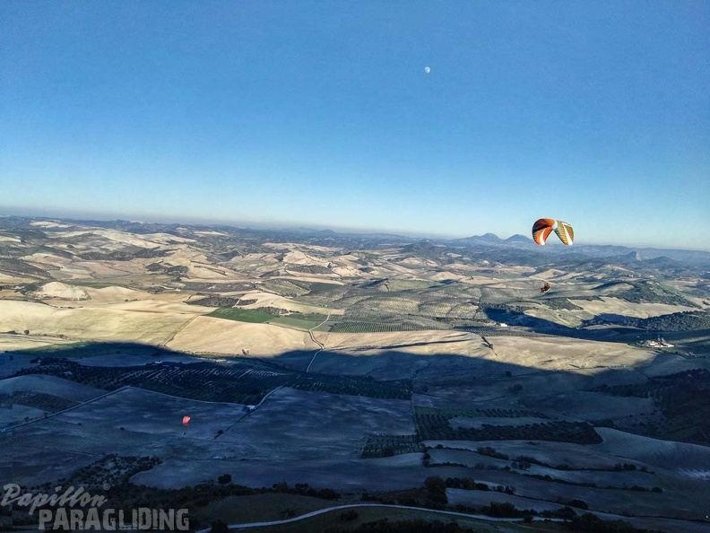 FA101.17 Algodonales-Paragliding-612