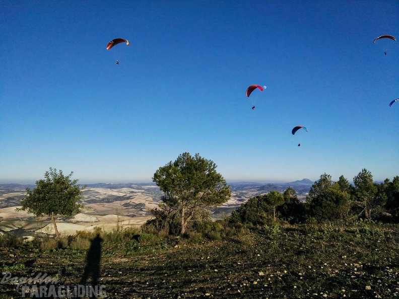FA101.17 Algodonales-Paragliding-629