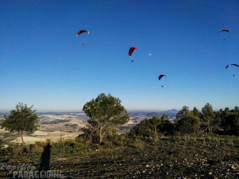 FA101.17 Algodonales-Paragliding-630