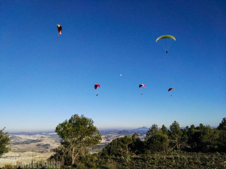 FA101.17 Algodonales-Paragliding-643
