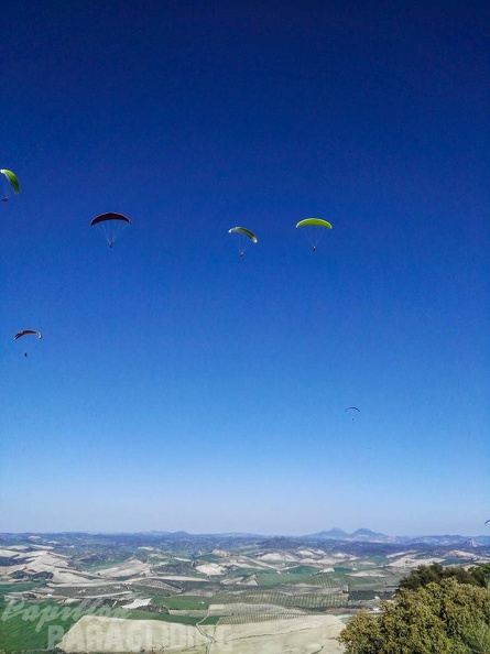 FA14.17 Algodonales-Paragliding-157
