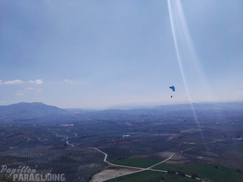 FA14.17 Algodonales-Paragliding-183