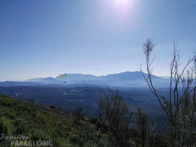 FA14.17 Algodonales-Paragliding-219