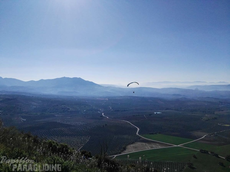FA14.17 Algodonales-Paragliding-242