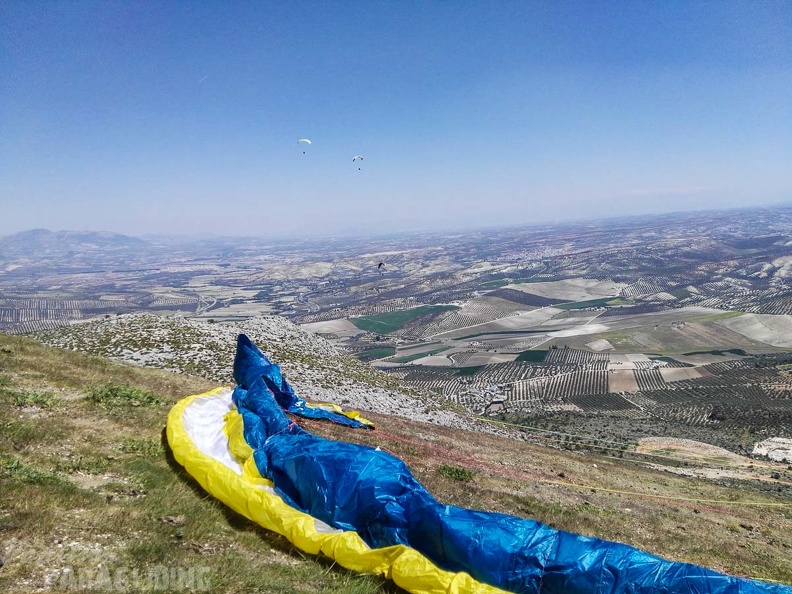 FA14.17 Algodonales-Paragliding-330