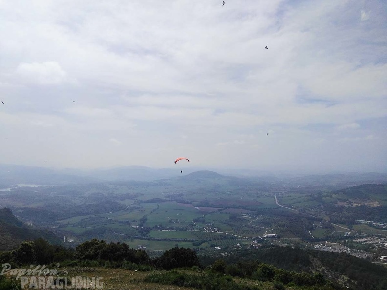 FA15.17 Algodonales-Paragliding-324