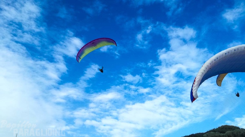 106 FA10.18 Algodonales Papillon-Paragliding
