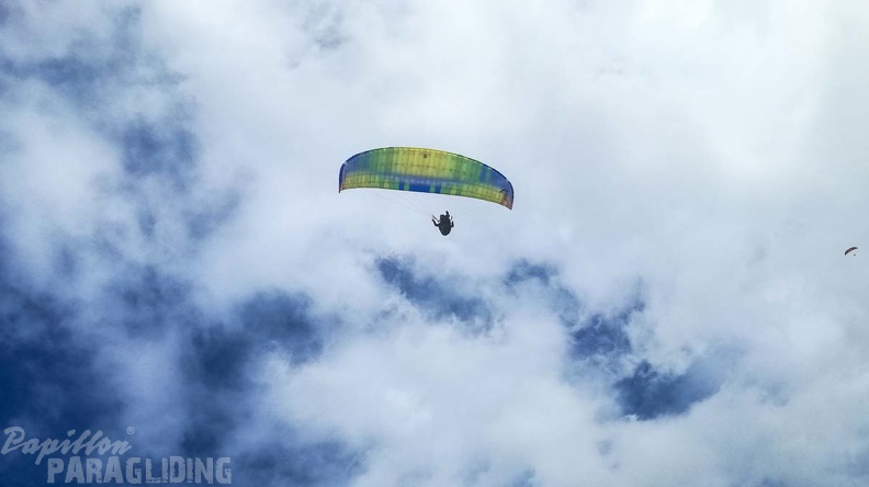 439 Papillon Paragliding Algodonales-FA11.18 71 439 439