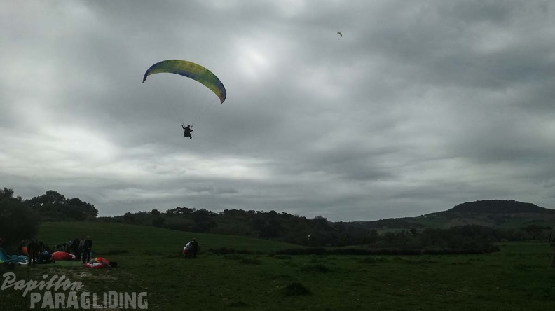 441 Papillon Paragliding Algodonales-FA11.18 73 441 441