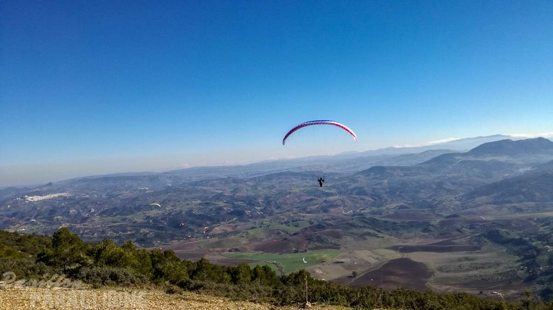 FA1.19 Algodonales-Paragliding-1545