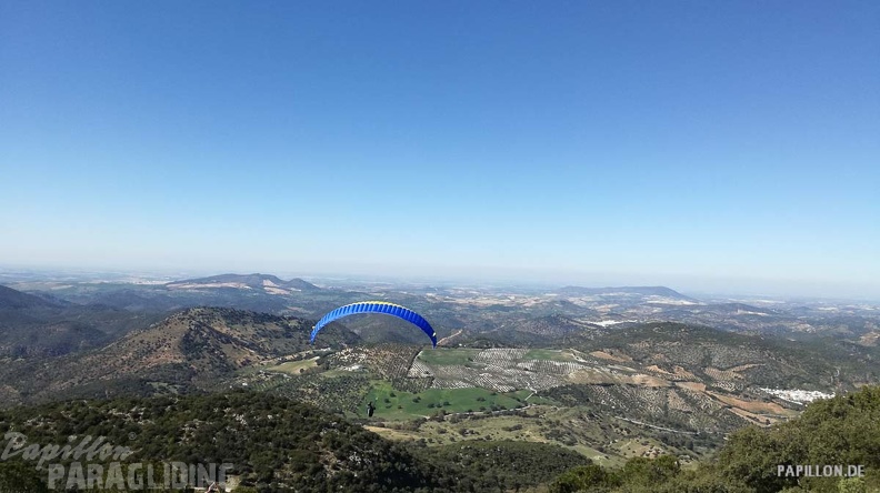 FA11.19 Algodonales-Paragliding-118