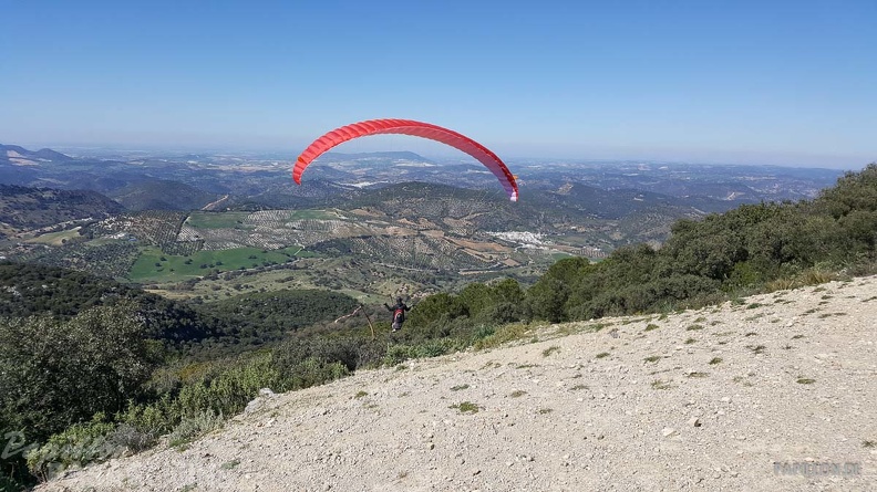 FA11.19 Algodonales-Paragliding-128
