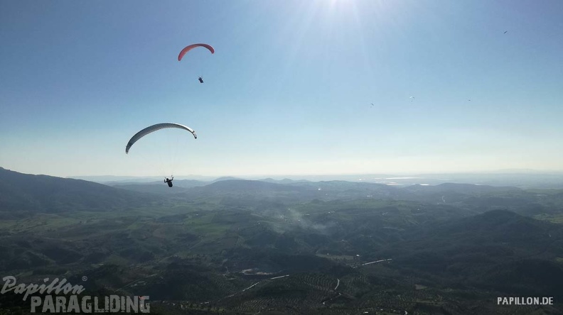 FA11.19 Algodonales-Paragliding-374