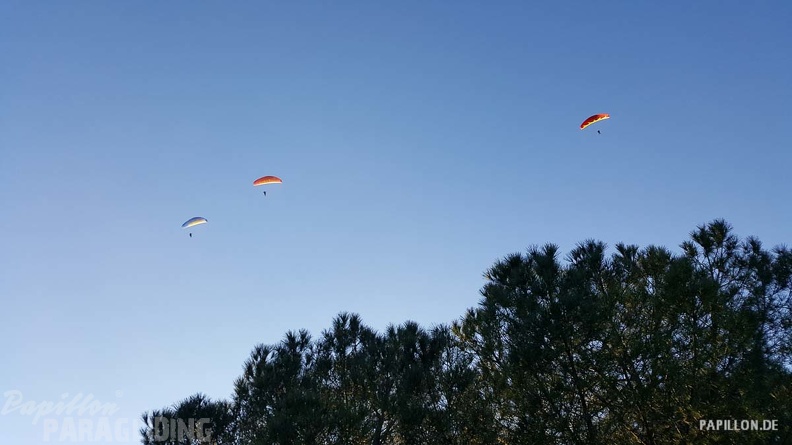 FA11.19 Algodonales-Paragliding-527